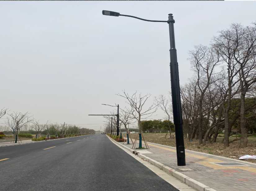 新界上海综合杆 太阳能路灯工程